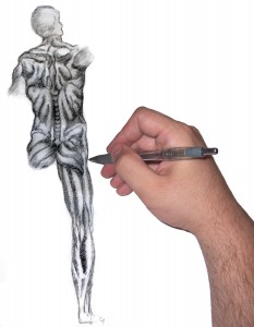 Anatomy sketch